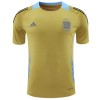 Maglia ufficiale Argentina Pre-Match 2024 Gialla per Uomo